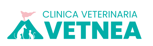 Vetnea